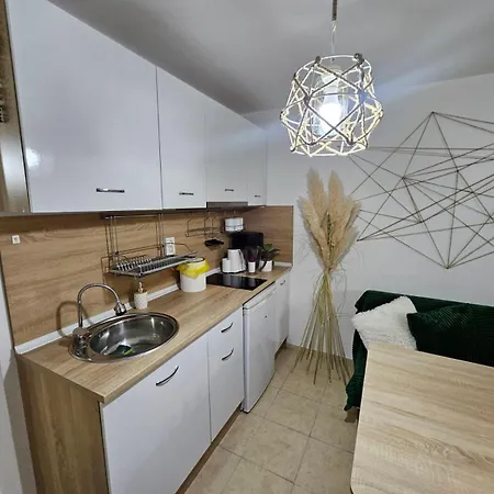 Tropical Chic For Two, Basement Escape By Flat Mаnager * Равда